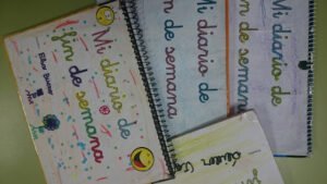 diario fin de semana